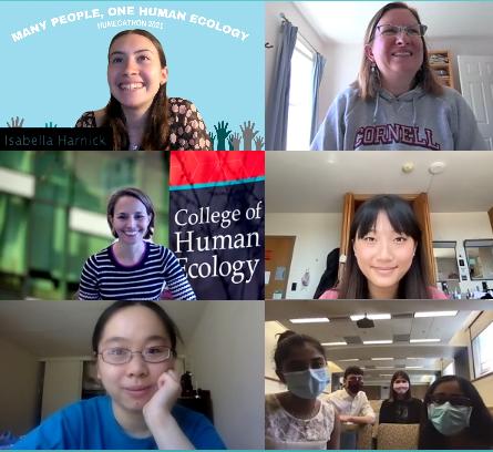 Screen capture of the virtual Humecathon