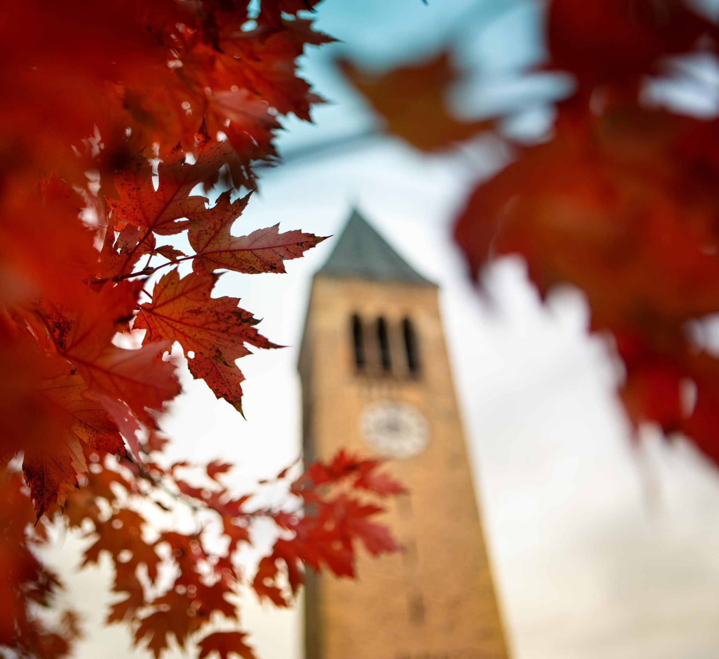 McGraw Tower in fall with redish leaves 
