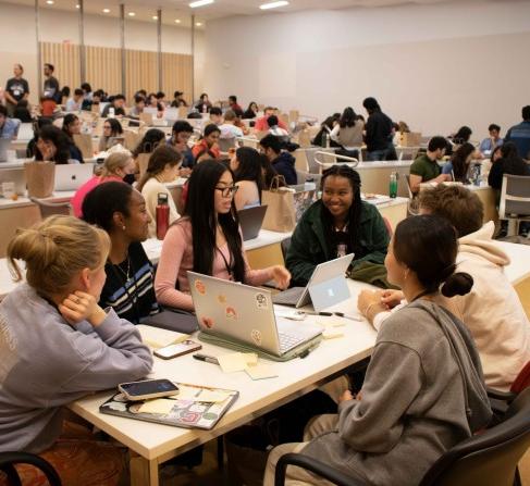 Students work in teams at the food science hackathon