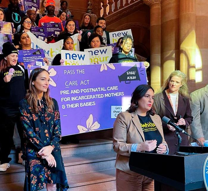 A group of people protest at the NY state capital in Albany NY