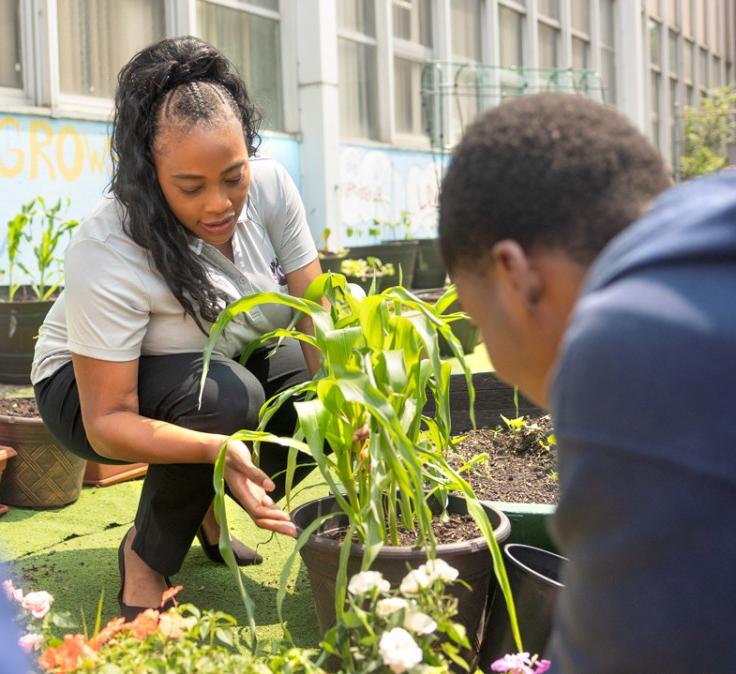 people working in a community garden