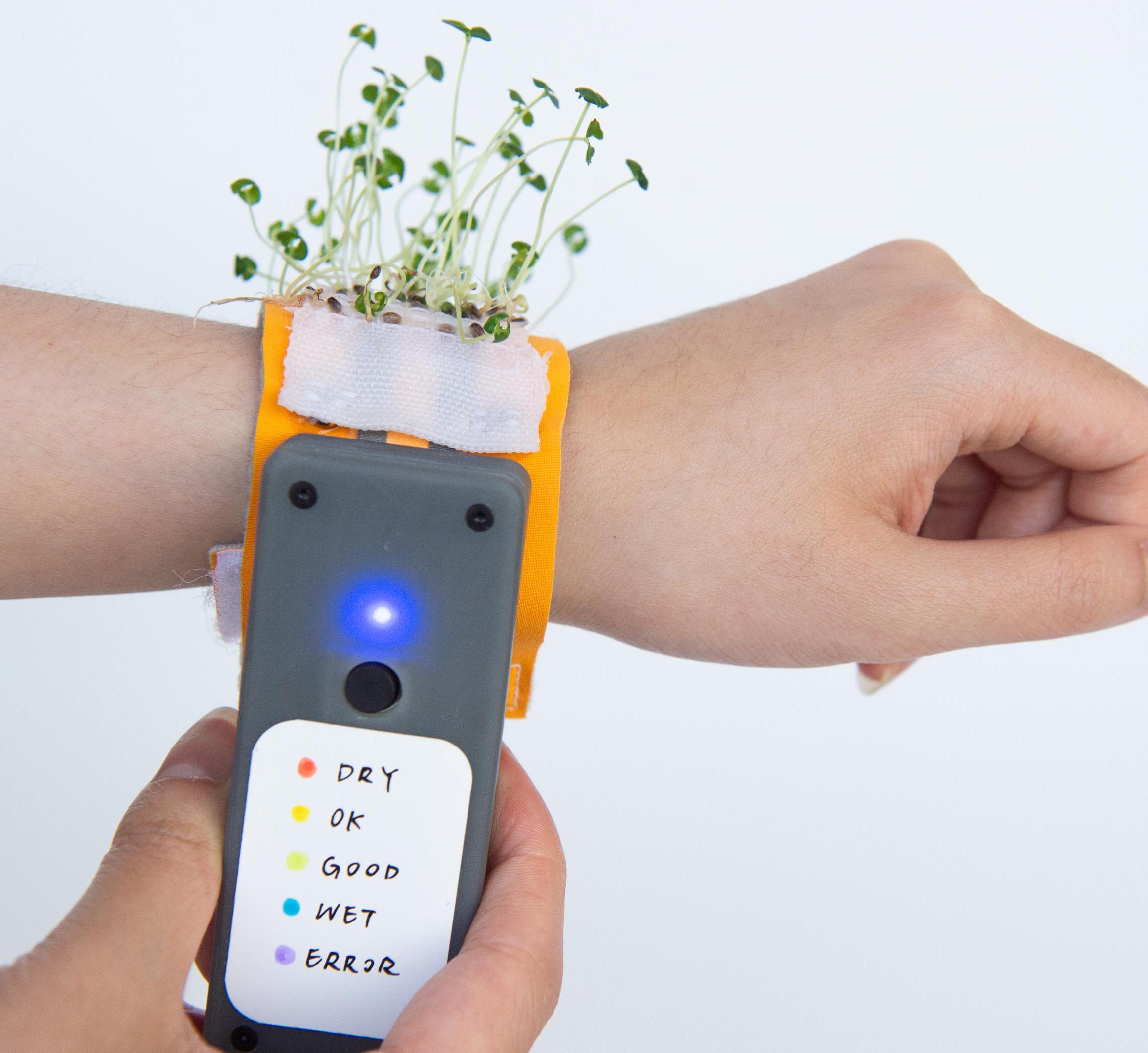 wristband with user study determining if plant needs water
