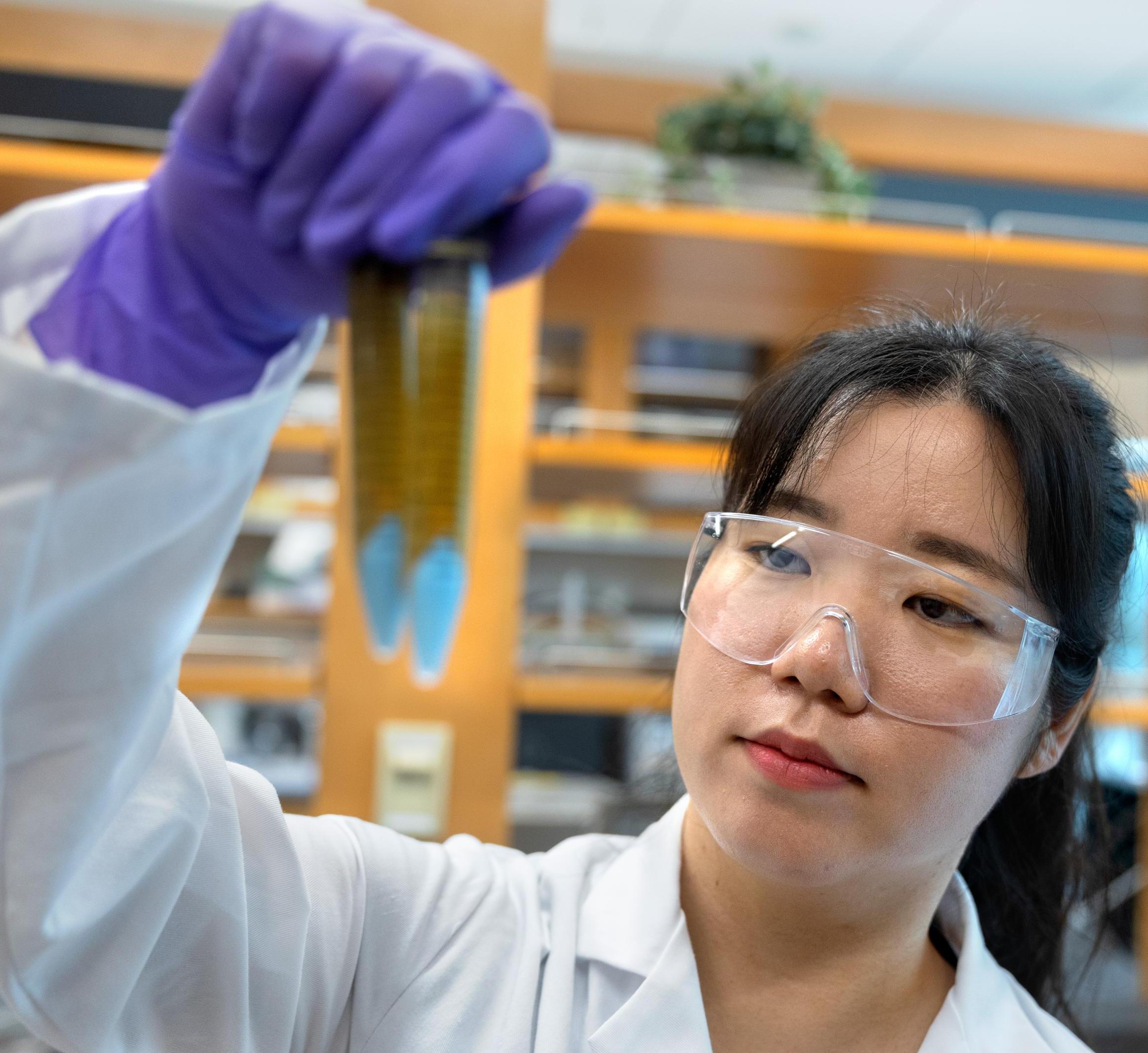Grad student Yelin Ko holds up 2 test tubes filled with blue powder