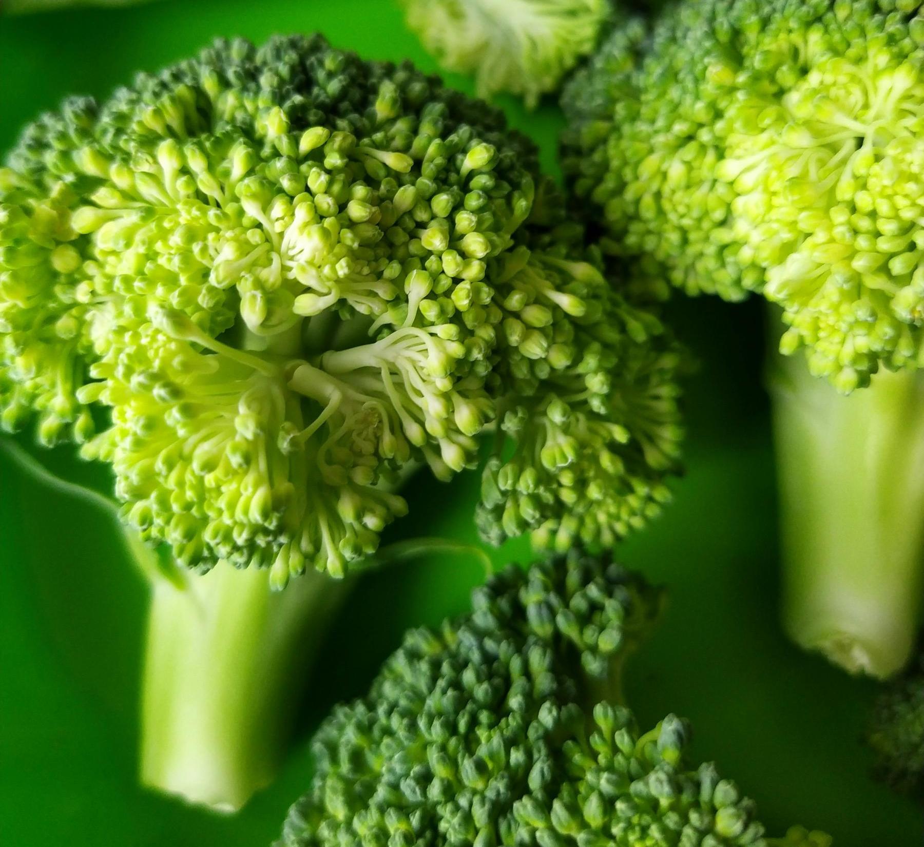 Broccoli