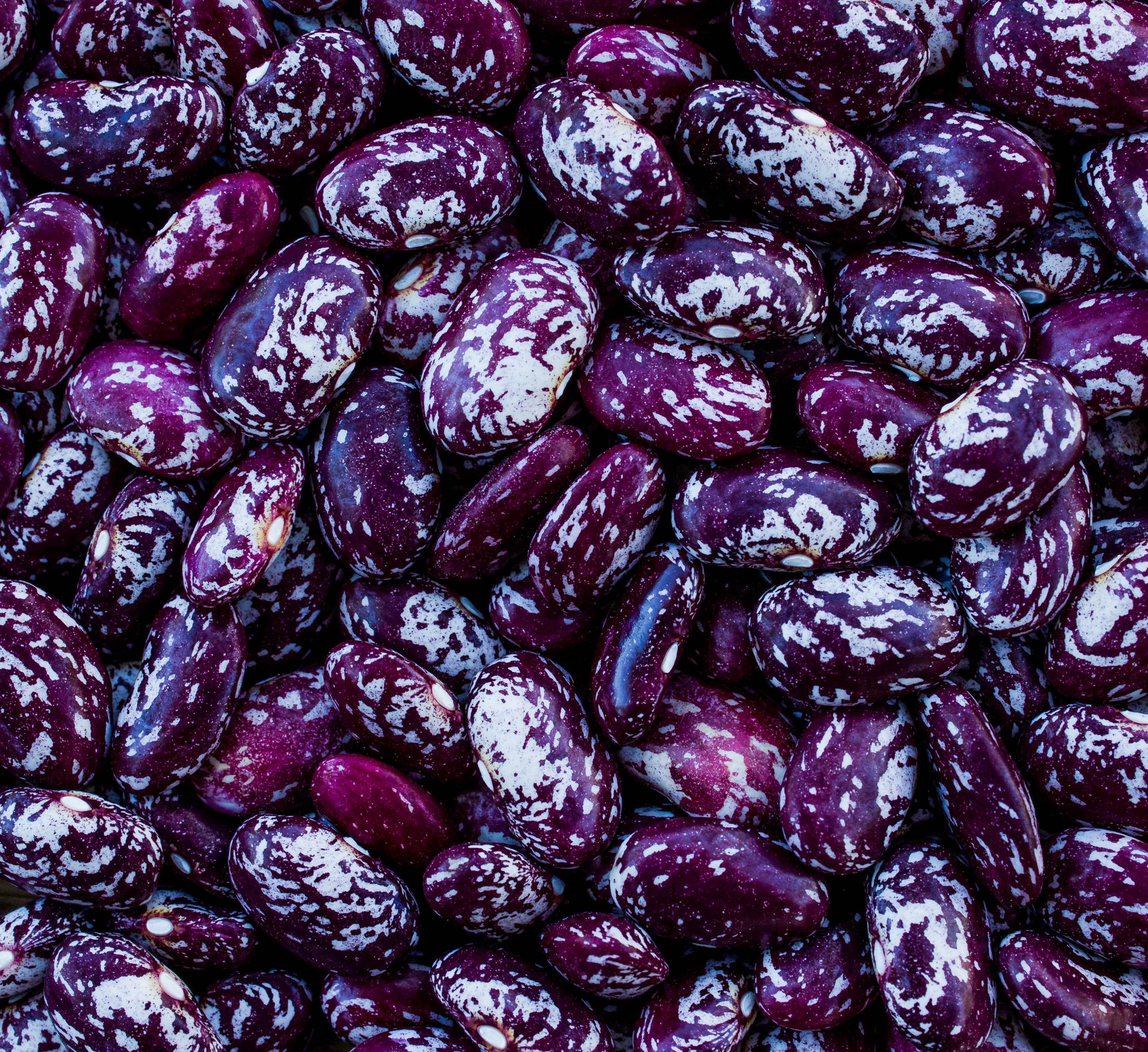 close up of purple beans