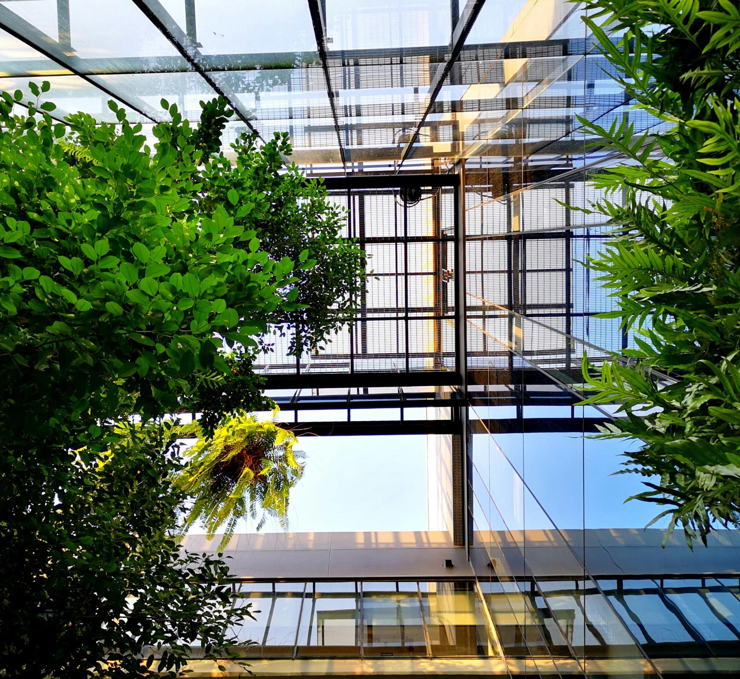 atrium of glass with plants and trees growing inside 