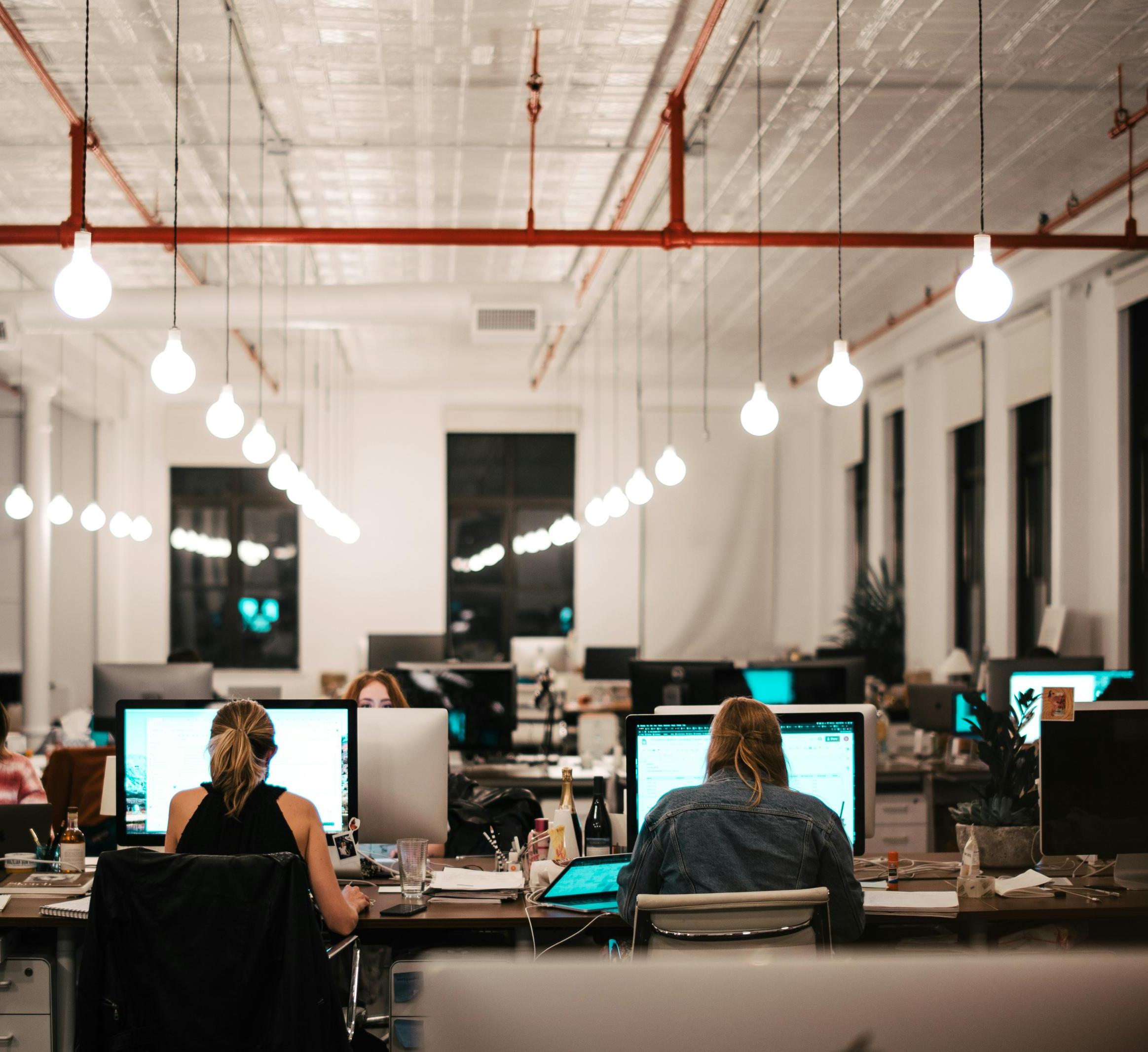 workers in an office