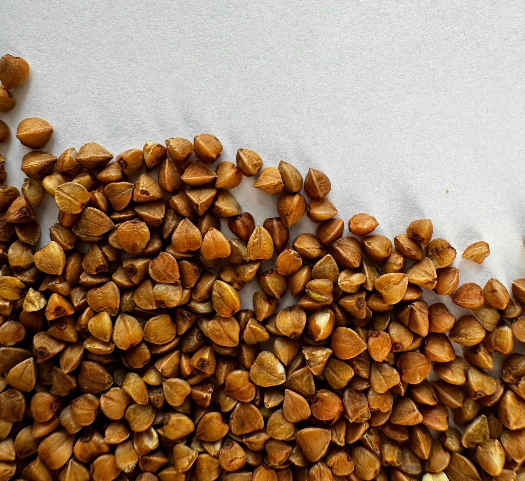 Buckwheat on a white background 