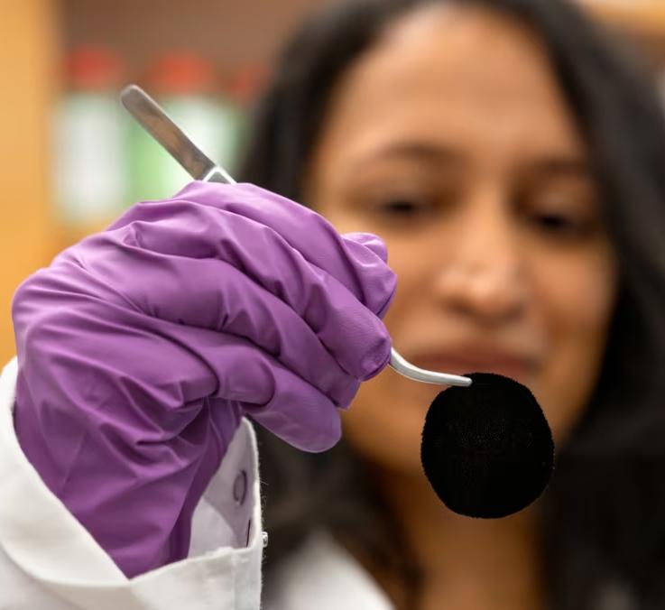 PhD candidate Hansadi Jayamah demonstrates the process for making their avian-inspired ultrablack dyed fabric