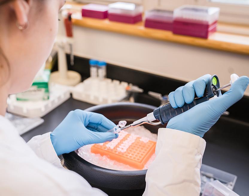 Person squeezes material into a pipette
