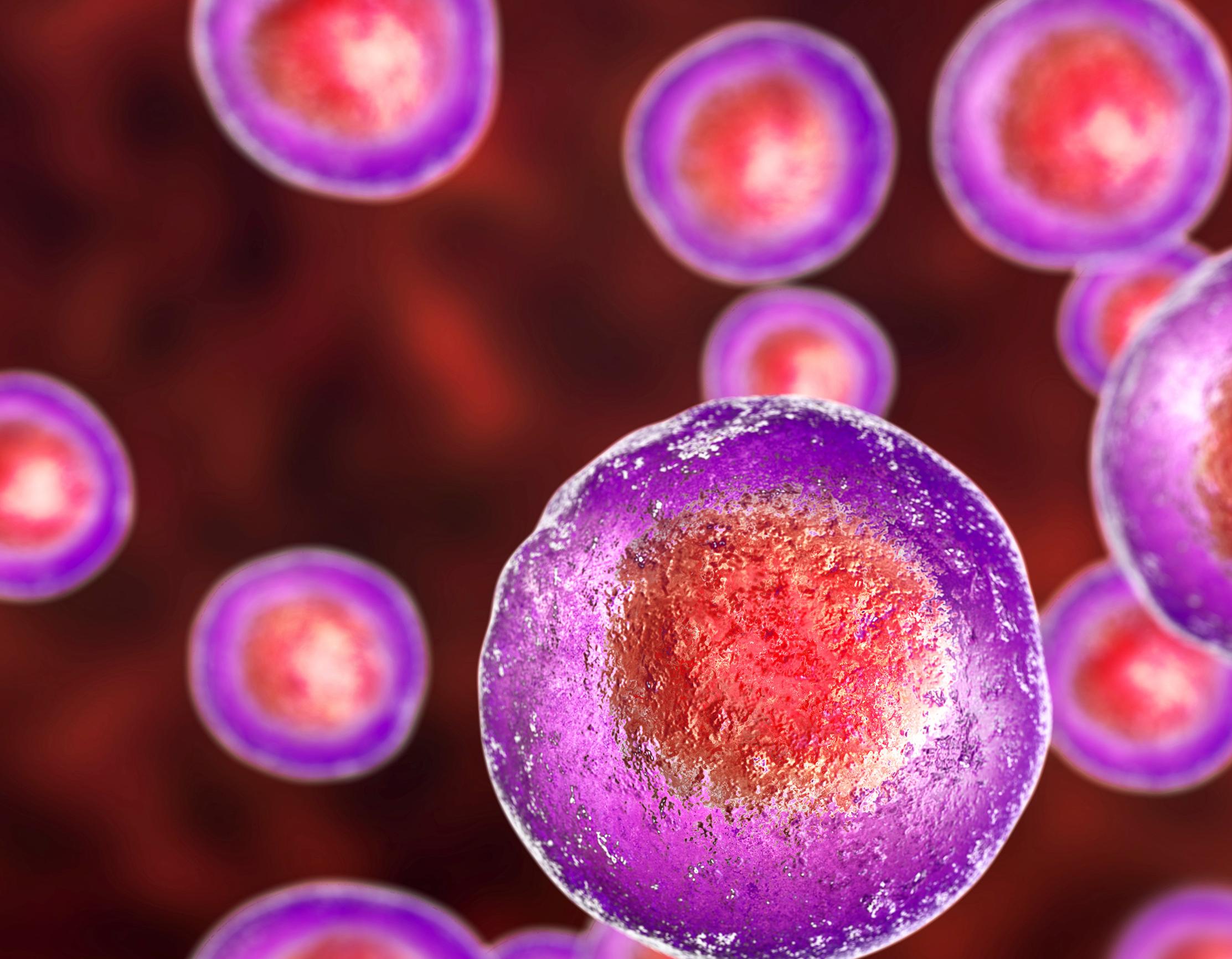 close up of blood cells