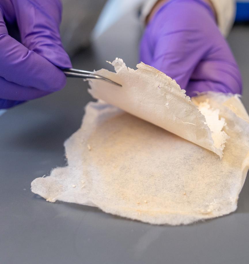 gloved hands pull a piece of a fabric lab specimen with tweezers