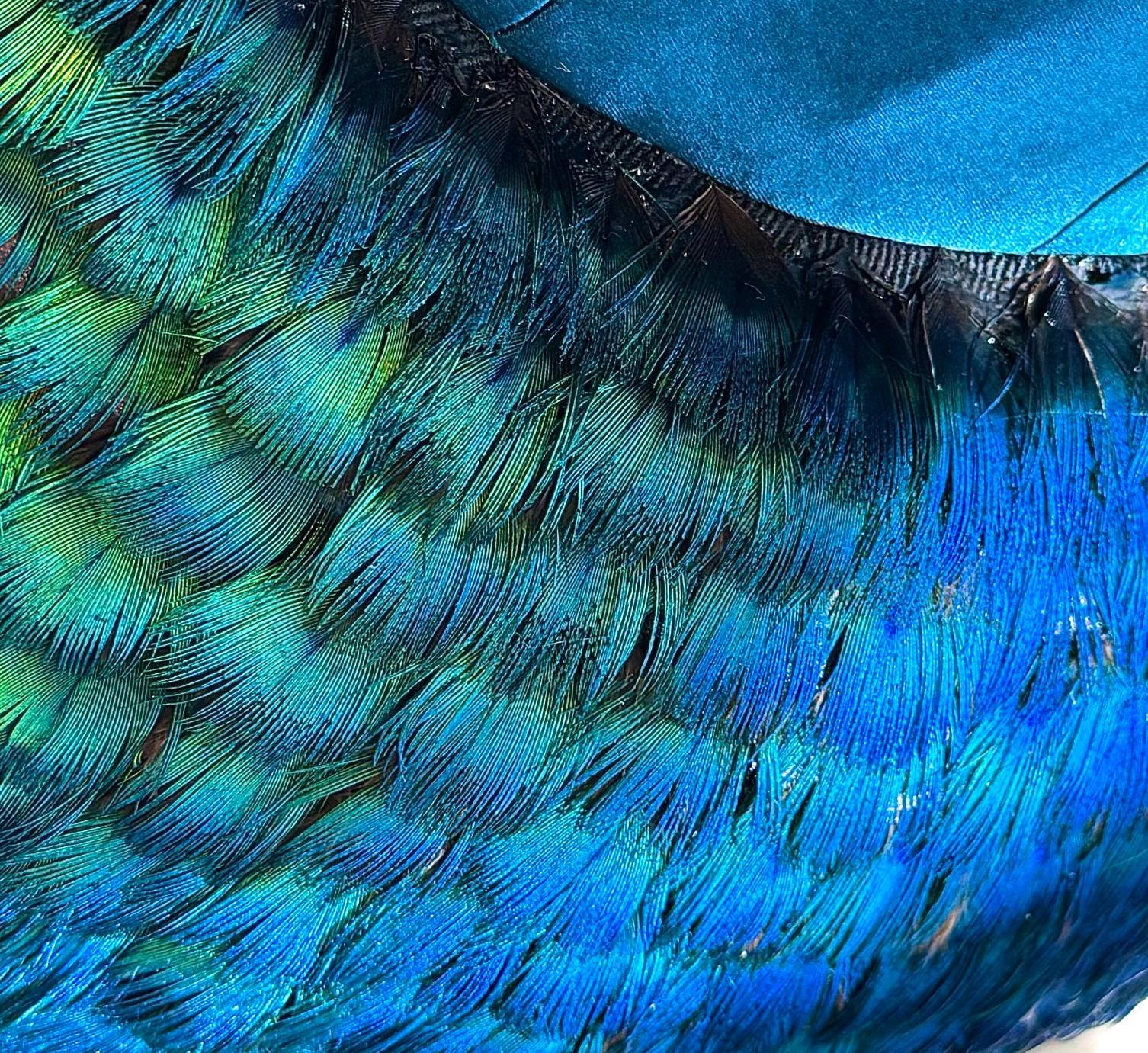 Peacock feather skirt on blue dress