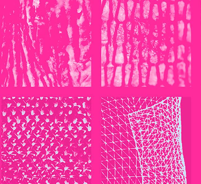 bright pink image of different textured fabrics in a quadrant