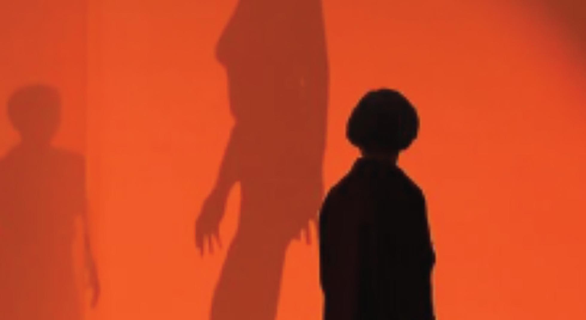 Shadows against a red wall.