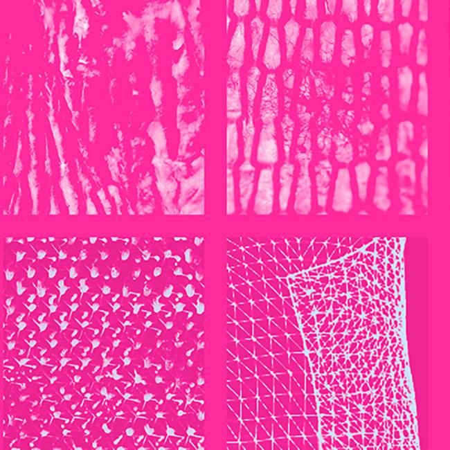 bright pink image of different textured fabrics in a quadrant