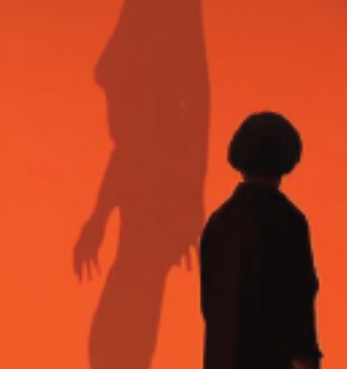 Shadows against a red wall.