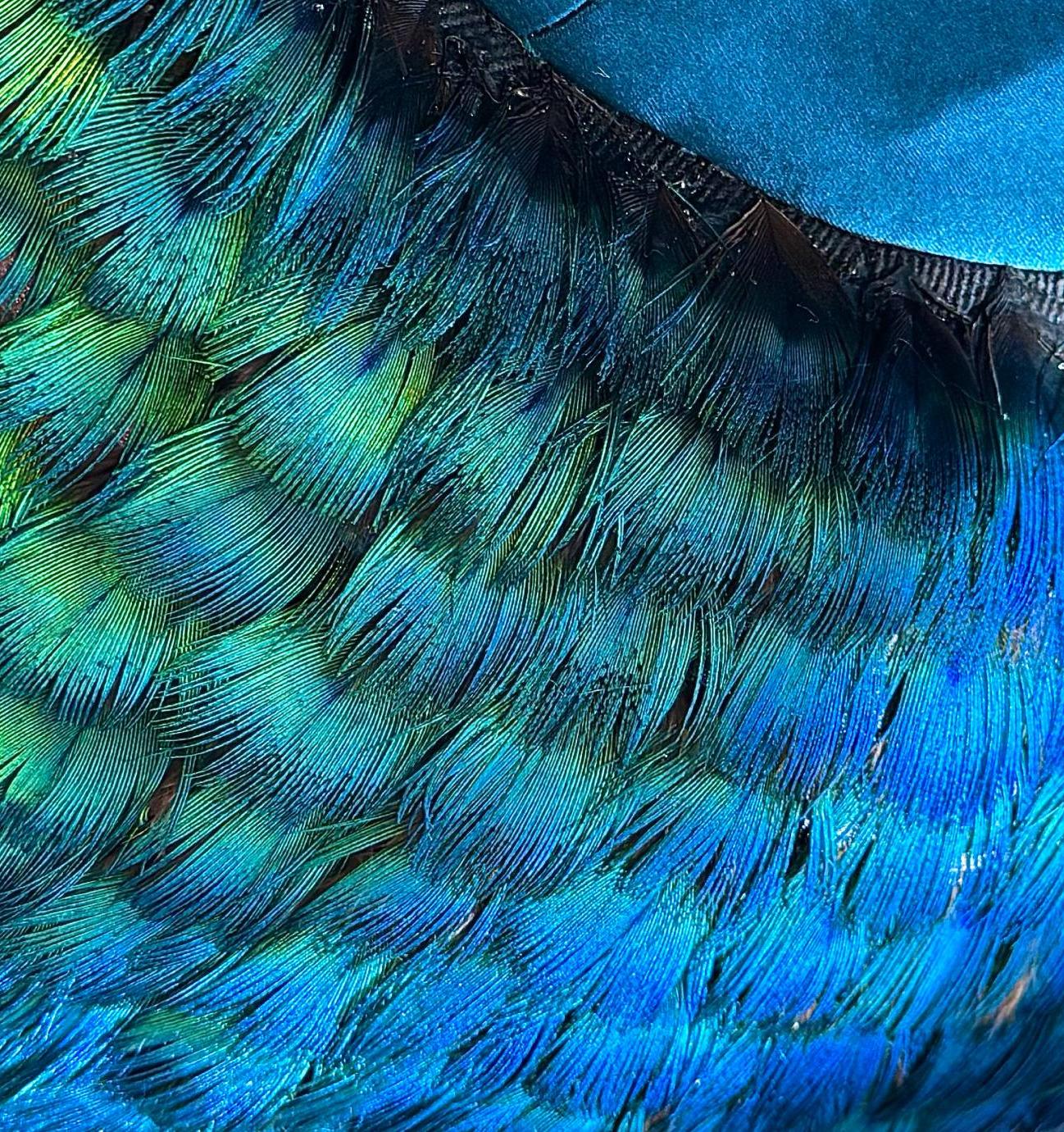 Peacock feather skirt on blue dress