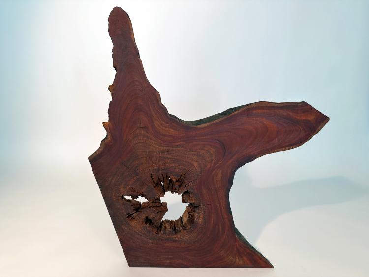 "Devoro" is Latin for "devour", as expressed in the production of its straight edges and the rotting of its center. These express the two major forces that are leading to this tree's extinction. Cuban mahogany, the"king of woods" is listed as endangered, with no commercial stands left in its native territories. This deteriorated, but noble figure is postured along diagonal axes with its organic edges giving way to geometric, as its forests gave way to lumber.