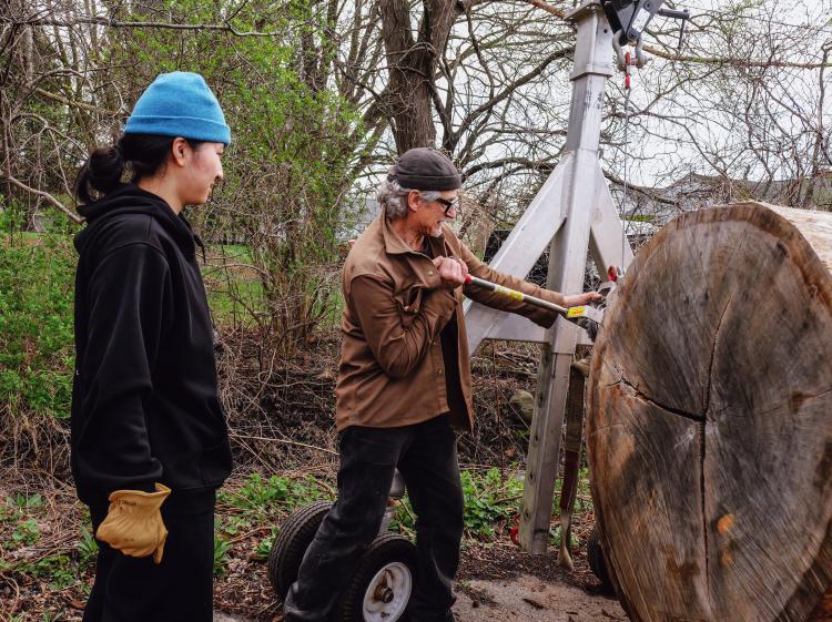 Sophie Bai and Jack Elliott jack a tree trunk up for cuttinb
