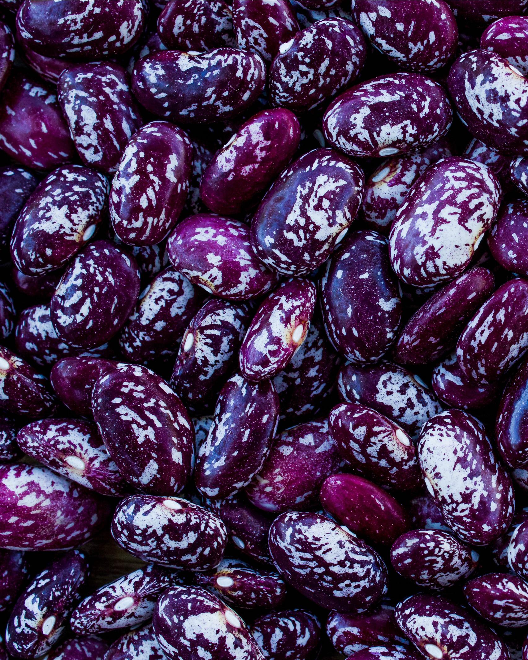 close up of speckled, purple beans