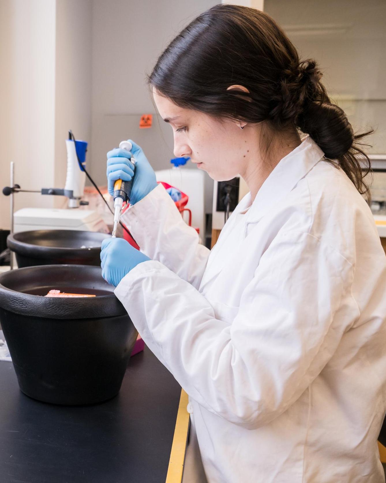 A student works in a lab with a white coat on filling a tube with a pipette.