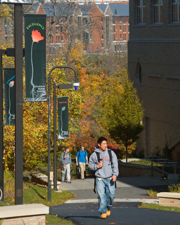 a student walks by the side of MVR in fall.