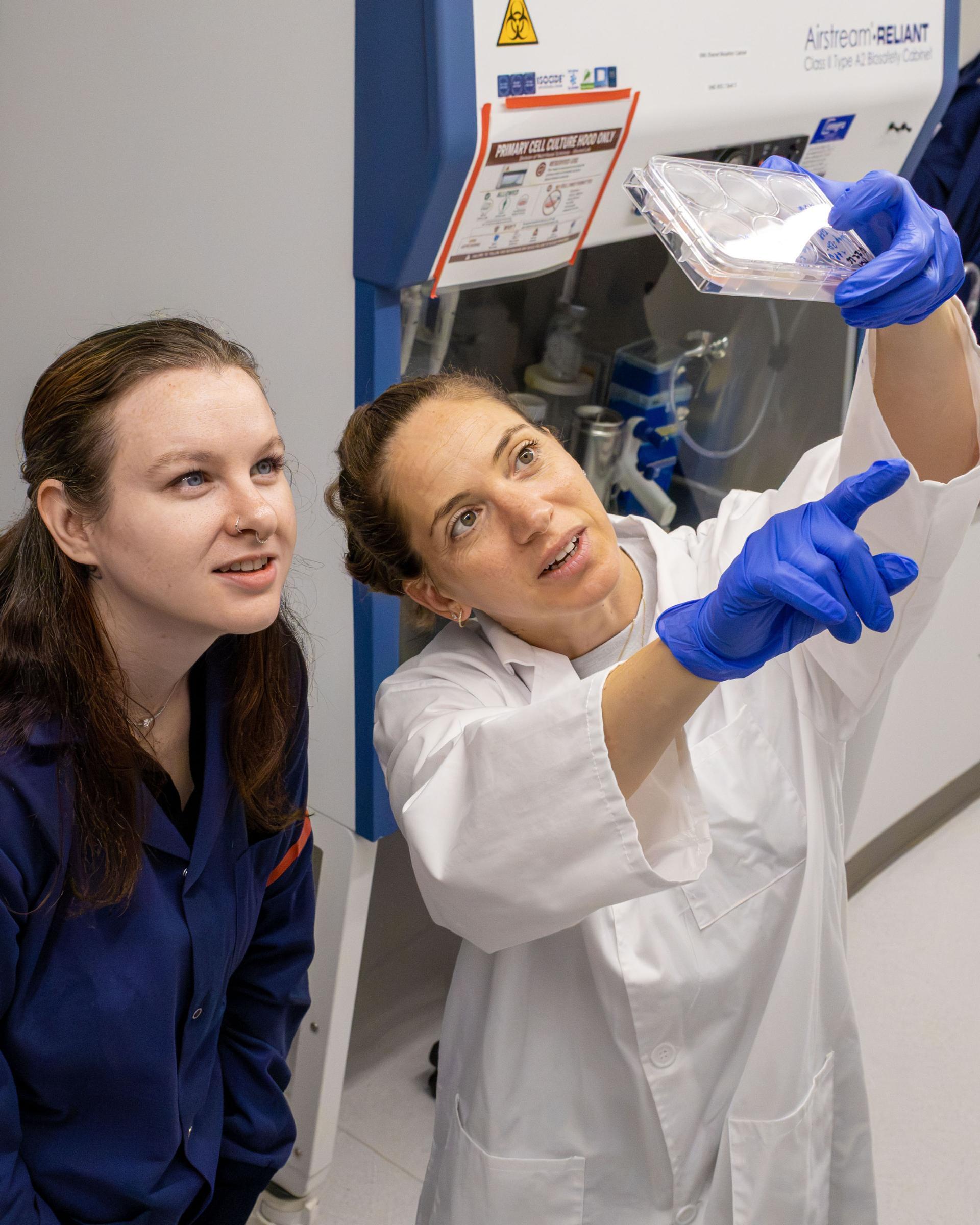 A faculty member and a student looking at a cell tray