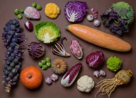 a collection of winter vegetables