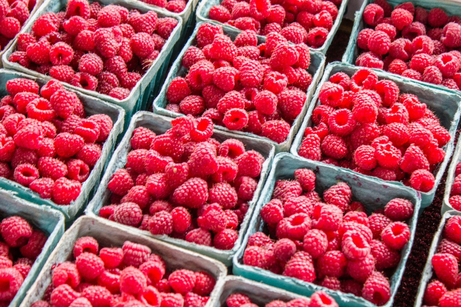 small baskets of raspberries