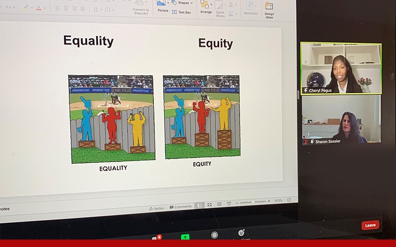 Zoom screen with presentation slide showing Equity and Equality 