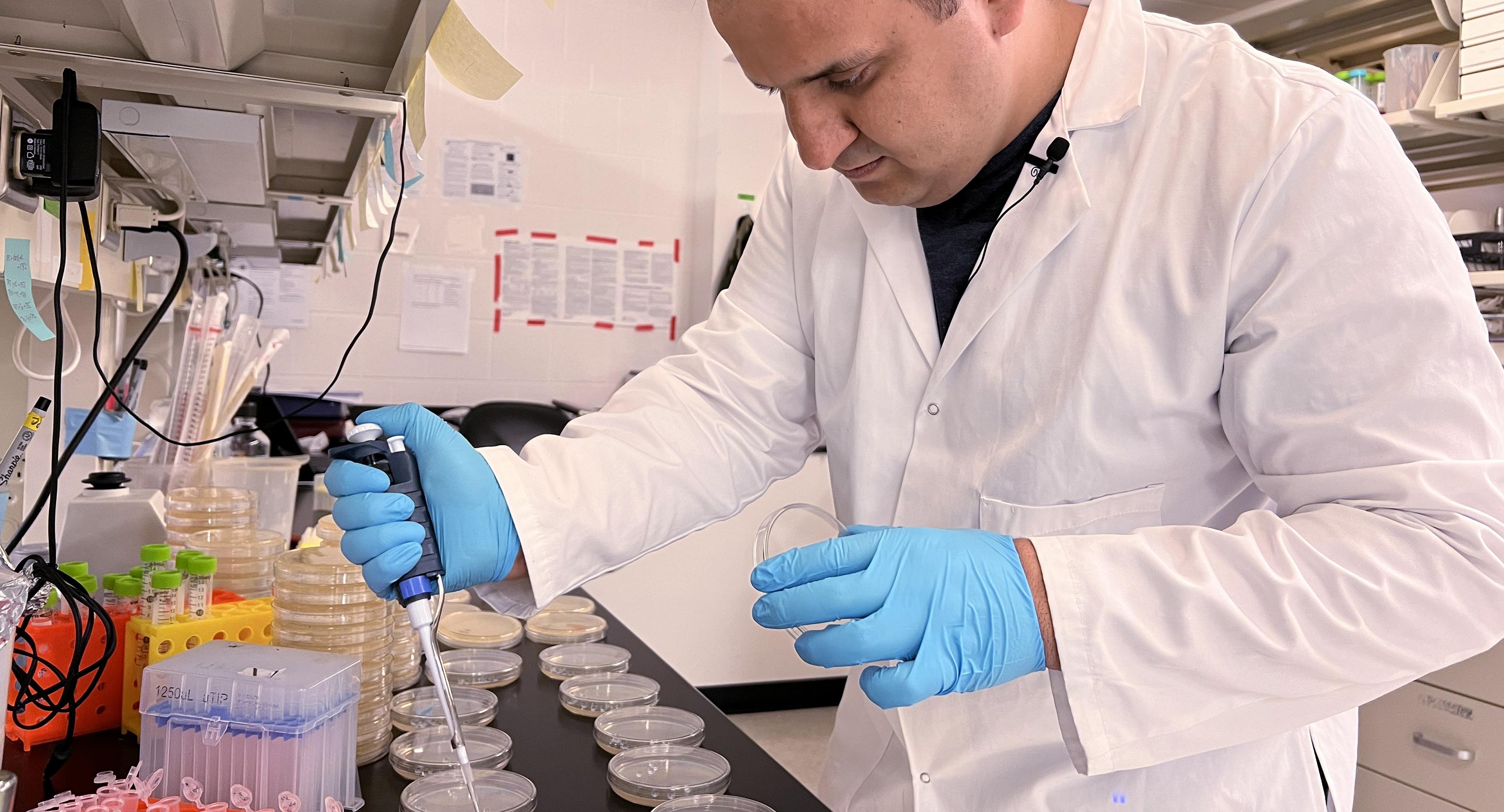 man in a lab coat pipetting petri dishes
