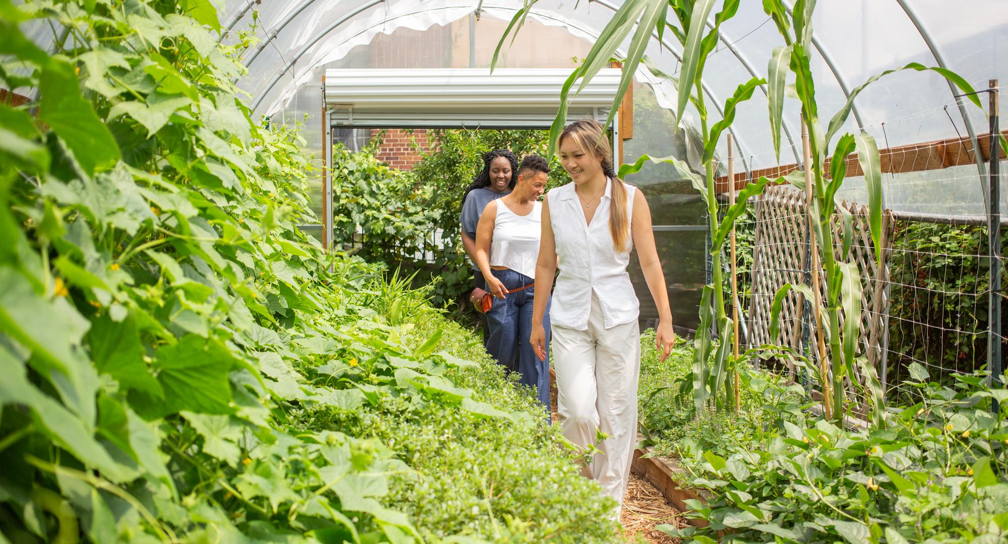 Renee Du in a green house 