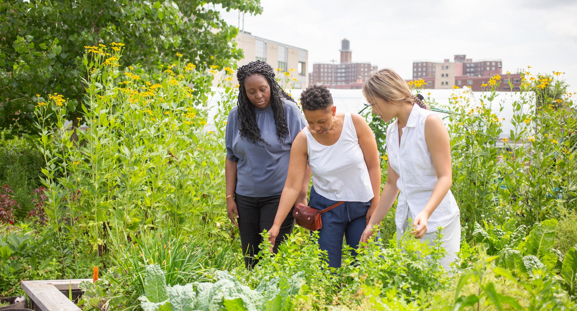 Du and partners in an urban garden 