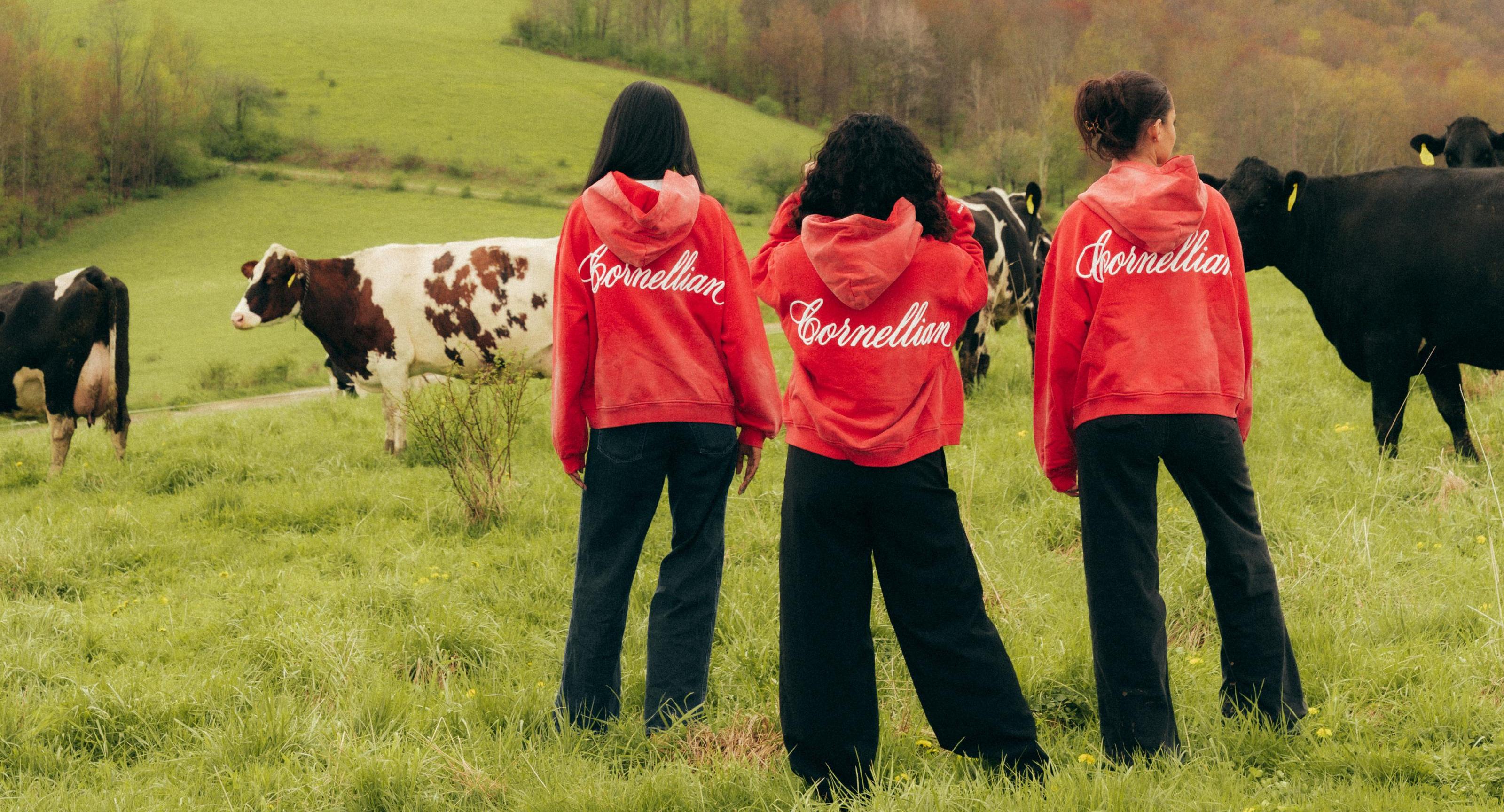 3 students wearing red Cornellian hoodies with cows in the background