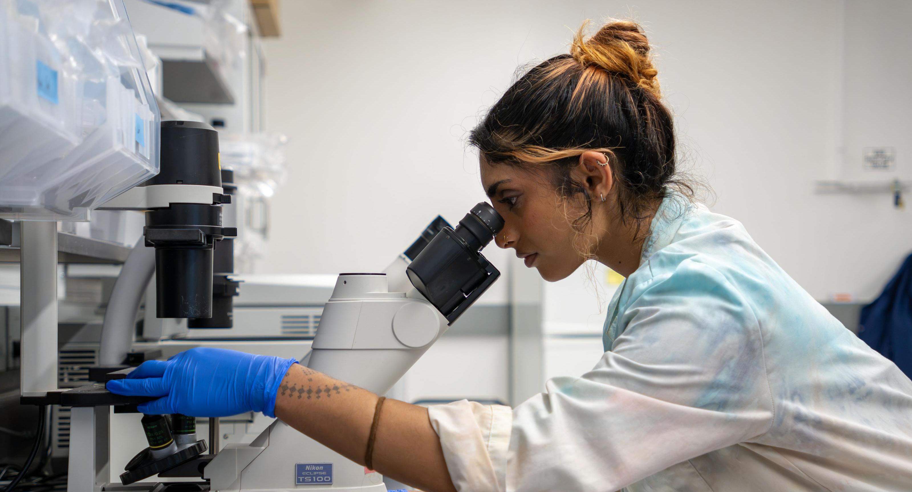 A student looking into a microscope in a lab. 