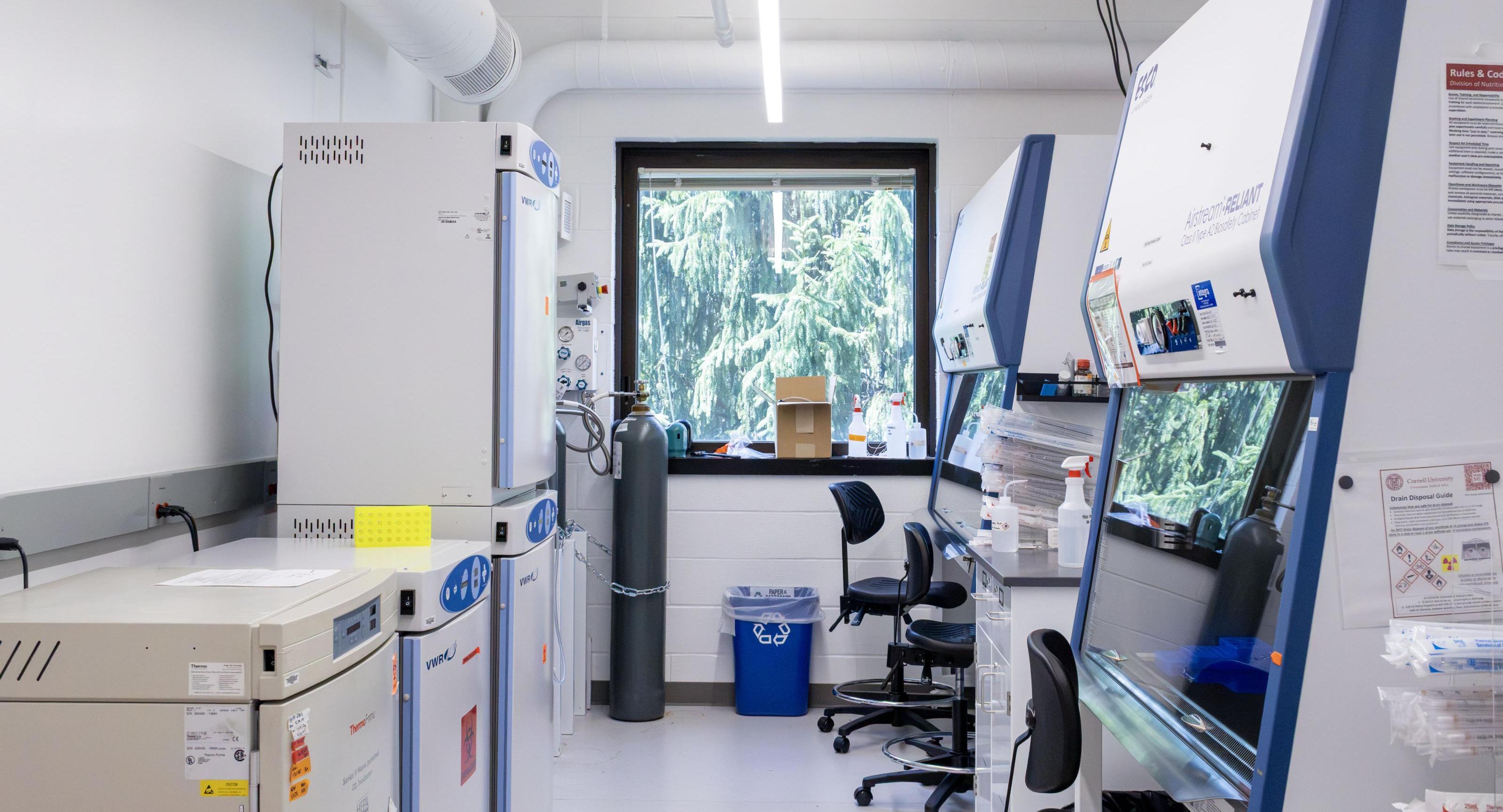 A shared lab space in Kinzelberg Hall.