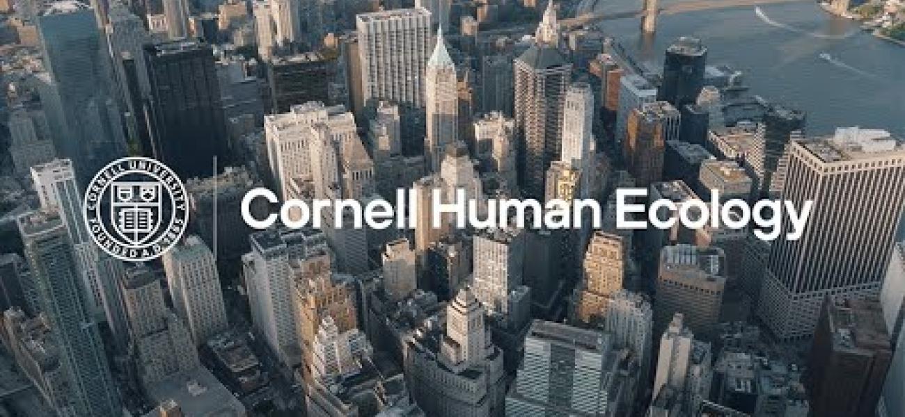 view of tops of New York City buildings with College of Human Ecology logo on top