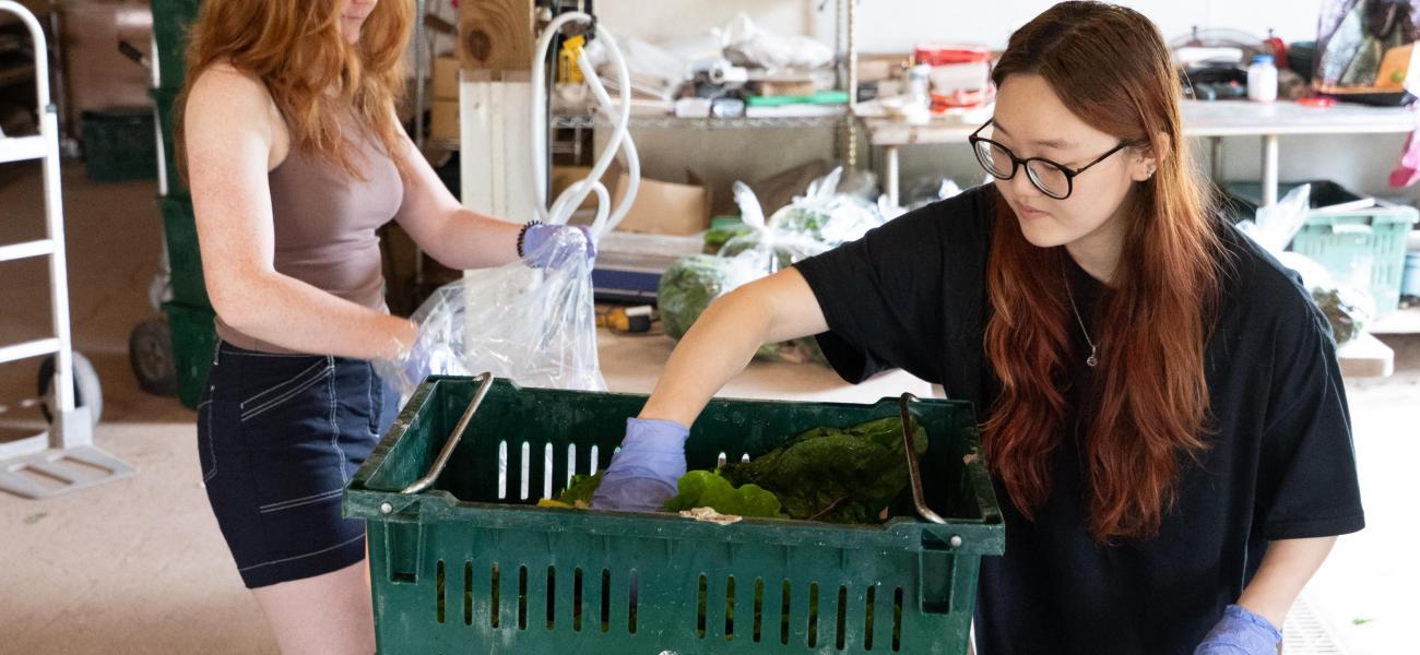 Students at the Center for Discovery