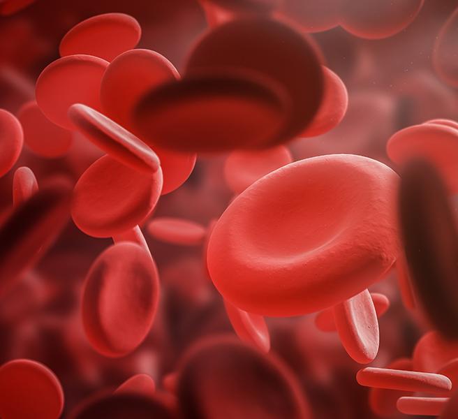 graphic of red blood cells