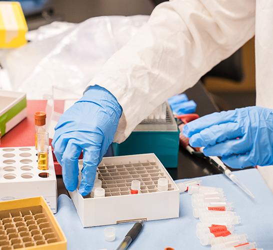 hands in blue gloves touching vials on a lab table