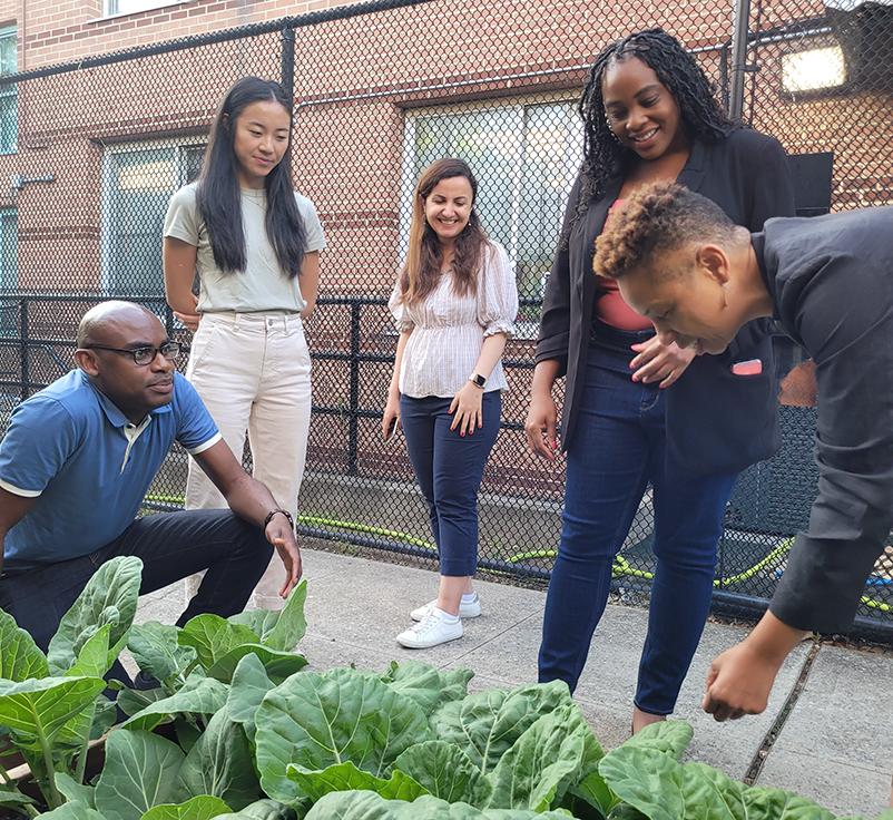 group in an urban garden looking at leafy greens