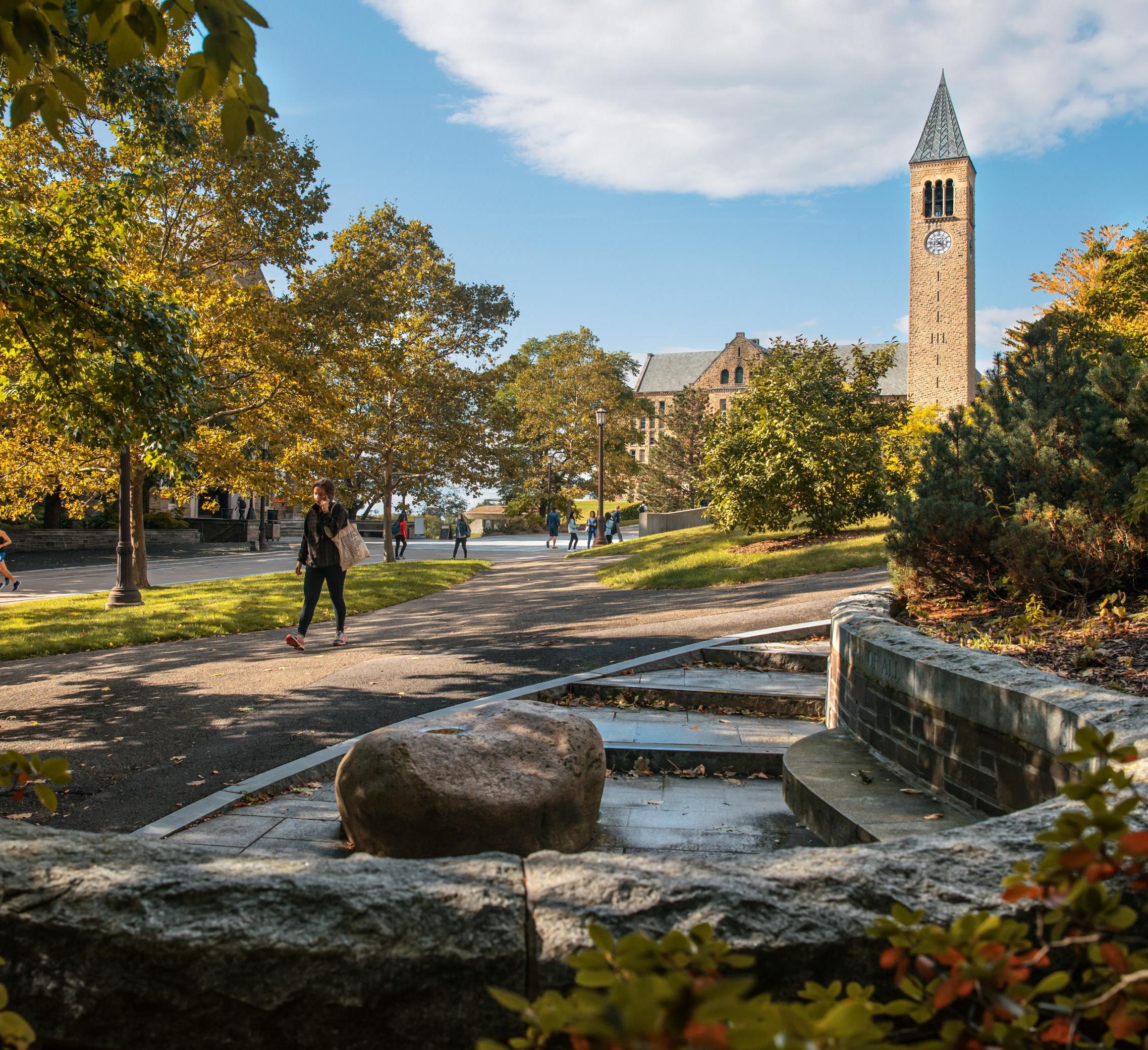 Image of McGraw Tower
