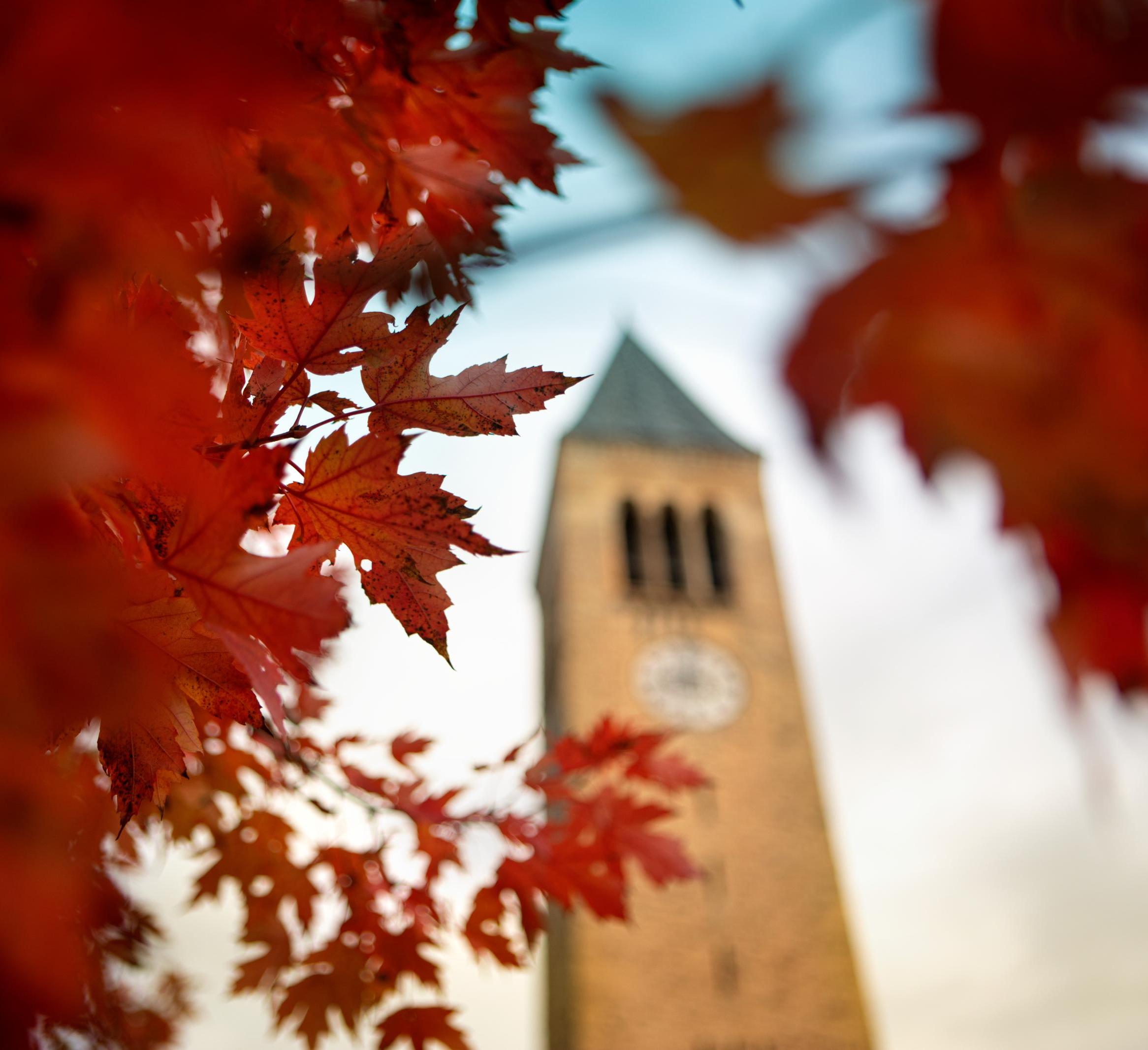 McGraw Tower in fall with redish leaves 