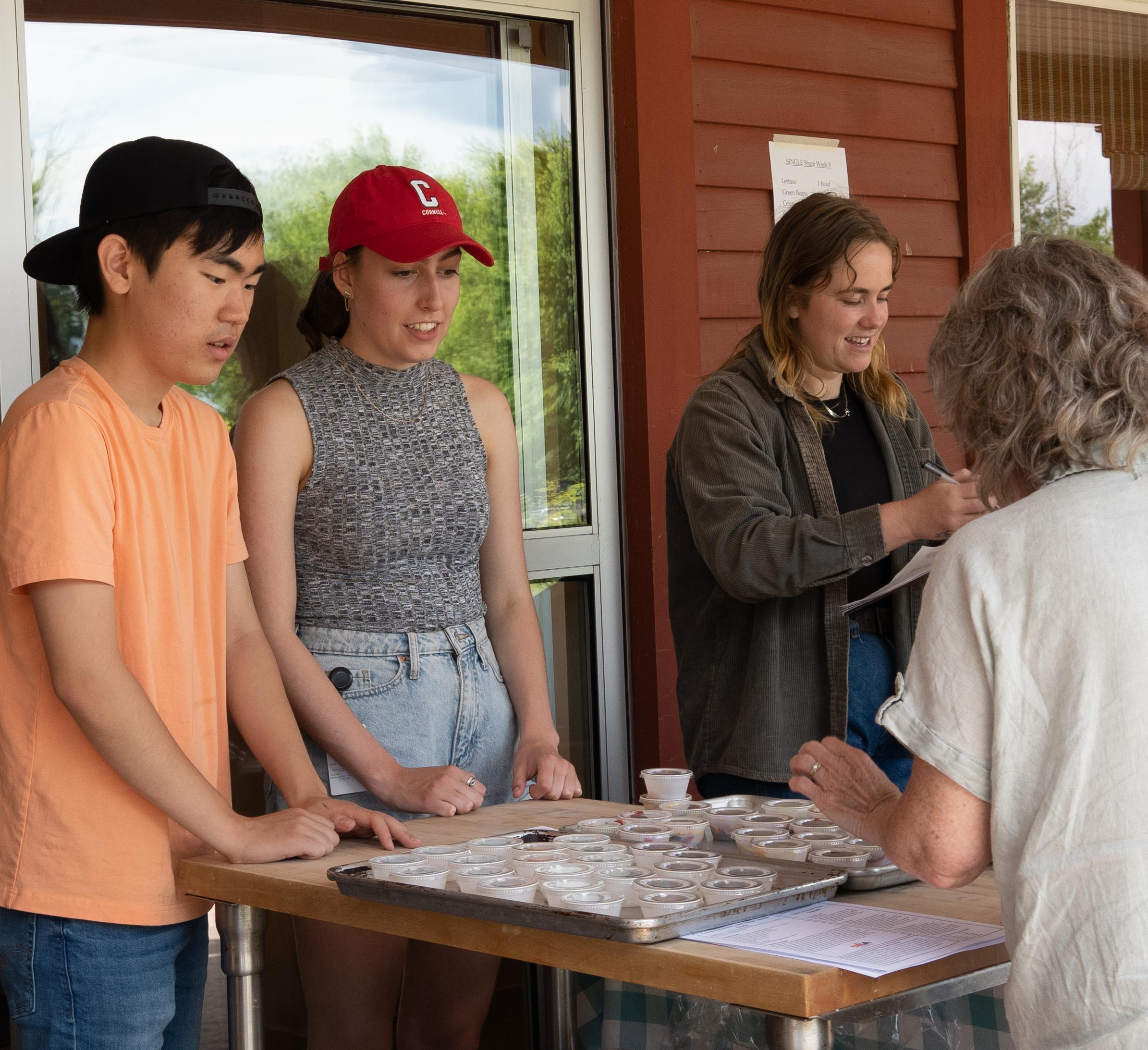 CCE interns in the Center for the Discovery 