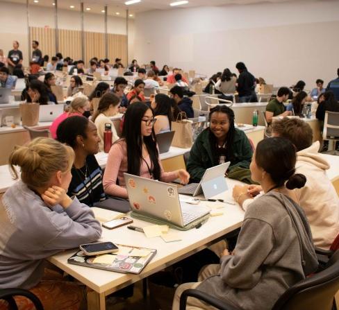 Students work in teams at the food science hackathon