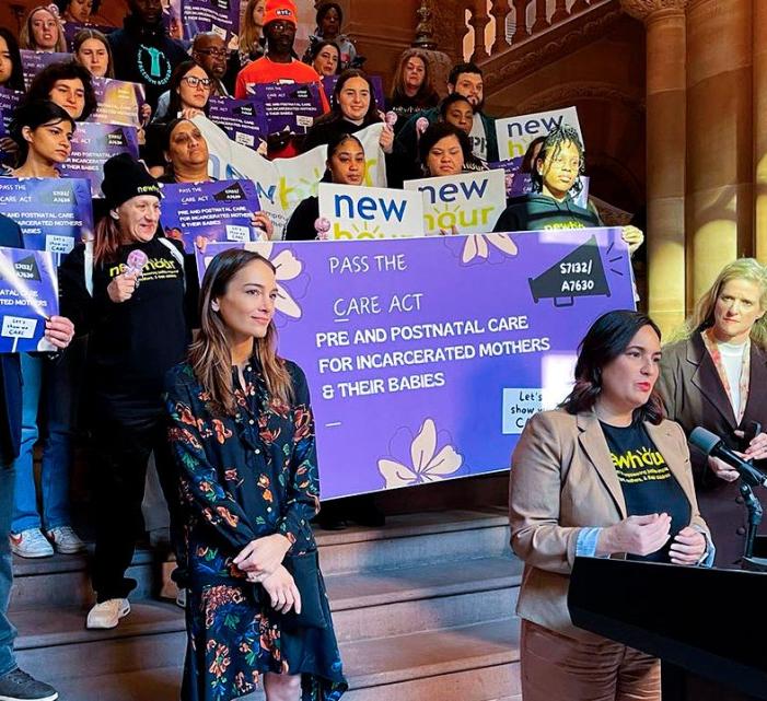 A group of people protest at the NY state capital in Albany NY