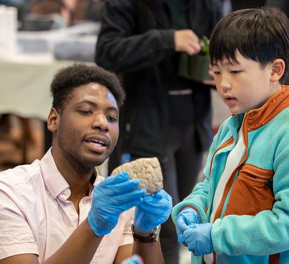 Senegal Mabry demonstrates a brain to a child 