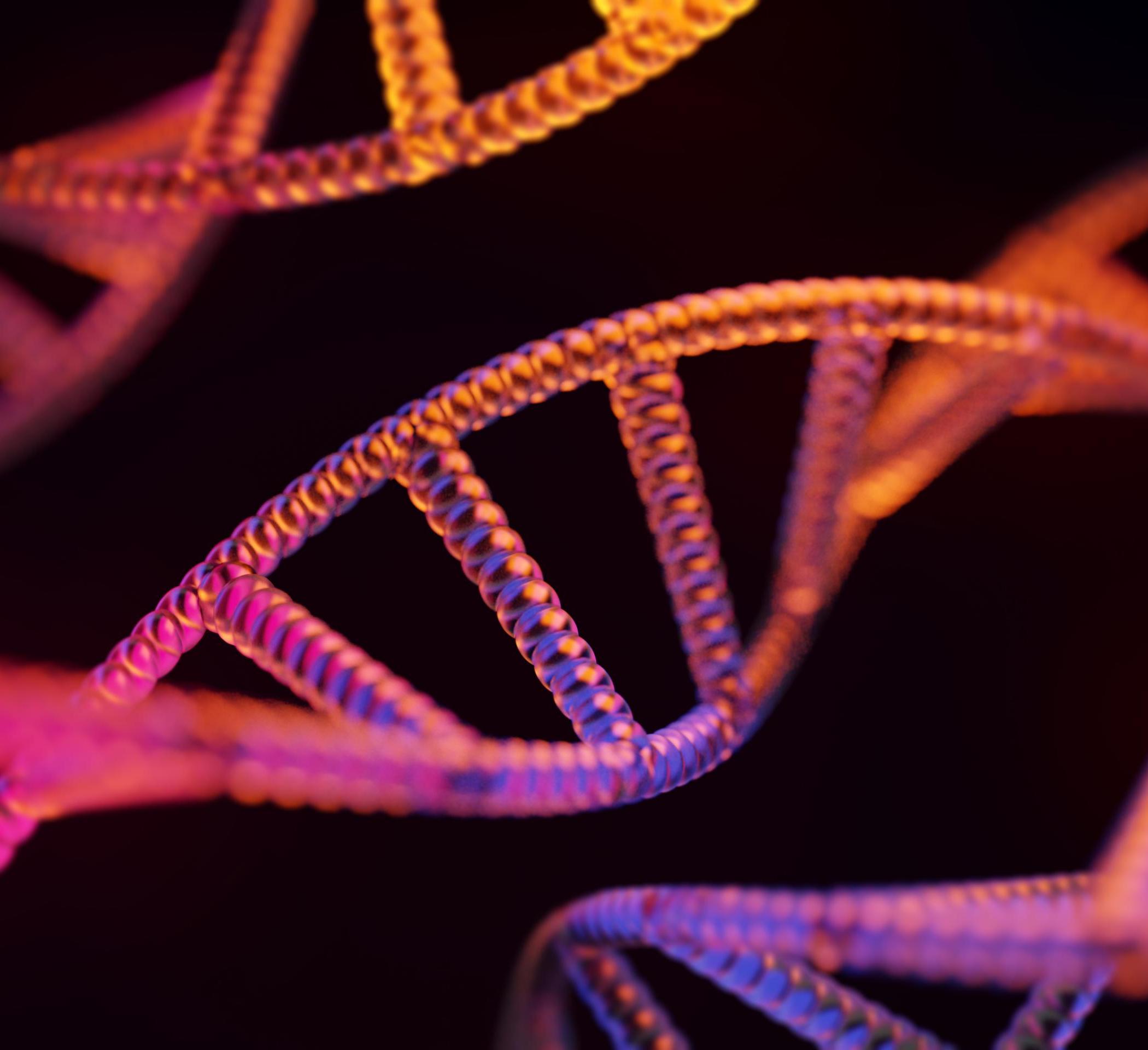 stock image of a dna helix