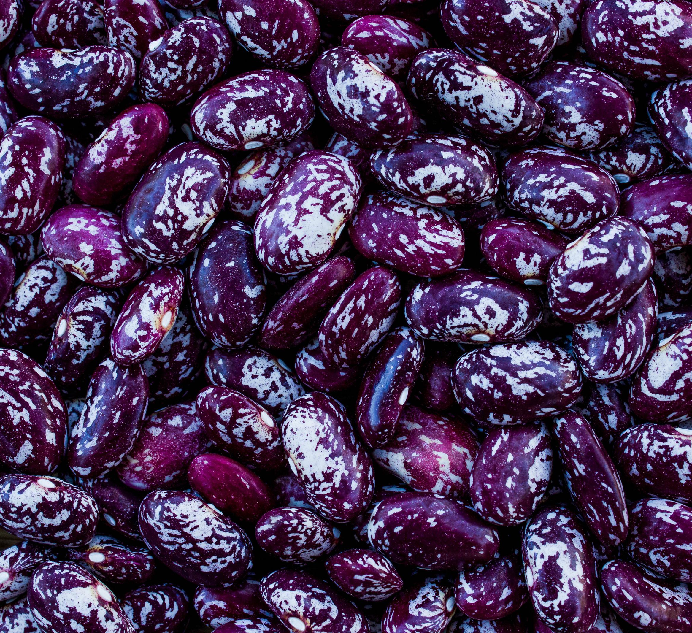 close up of purple beans